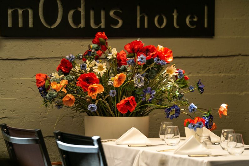 modus-6